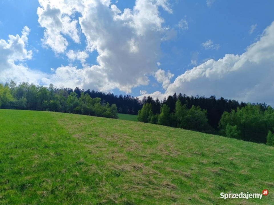 Działki pod lasem z panoramicznym widokiem utwardzona dolnośląskie Walim