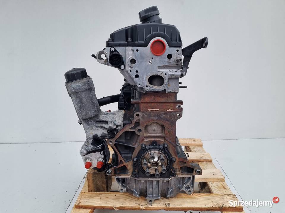 SILNIK SILNIK VW Sharan 0010r 19 TDI 90 pali ANU Rudka