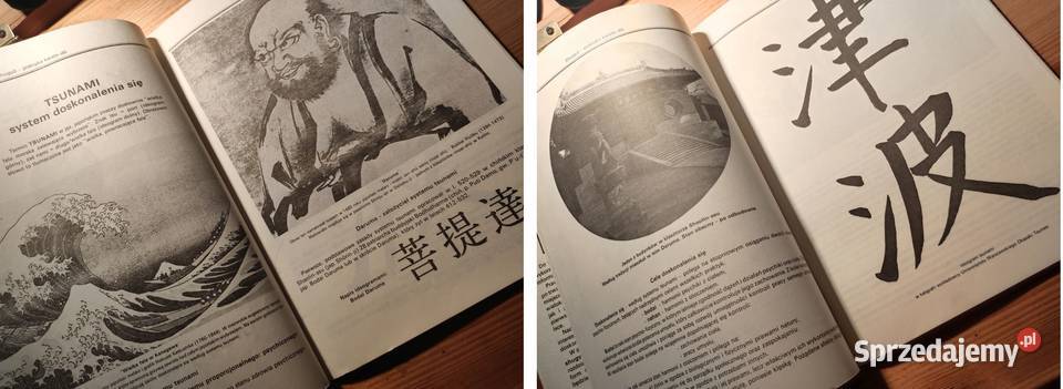 KarateDo Shugyo praktyka karate do Pierwsza sprzedam