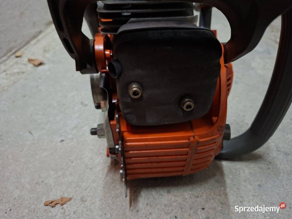 Pila echo gałęziówka