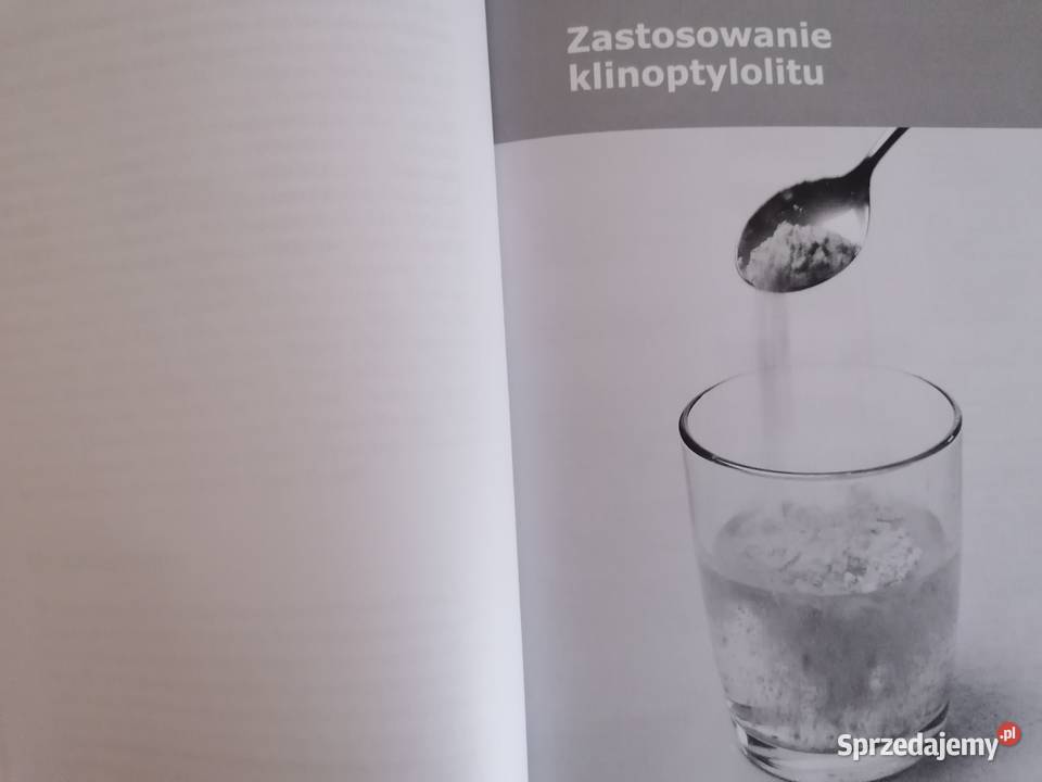 Aktywny zeolit klinoptylolit Werner Khni Łódź