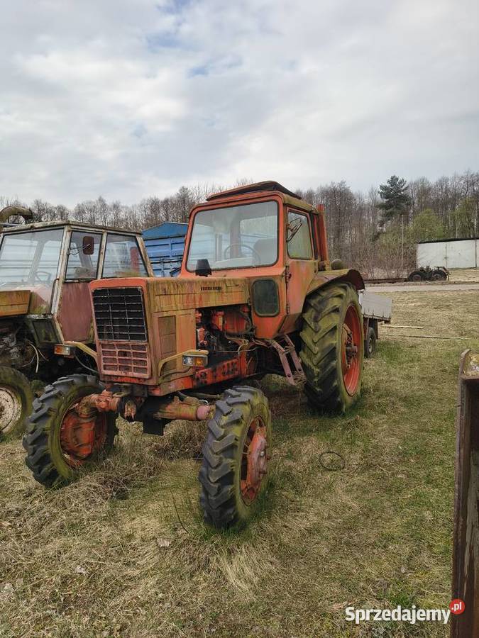 Ciągnik MTZ 82 Konin