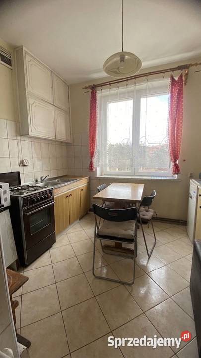 MIESZKANIE DO WYNAJĘCIA 2 pokoje 4937 m2 Dzierżoniów