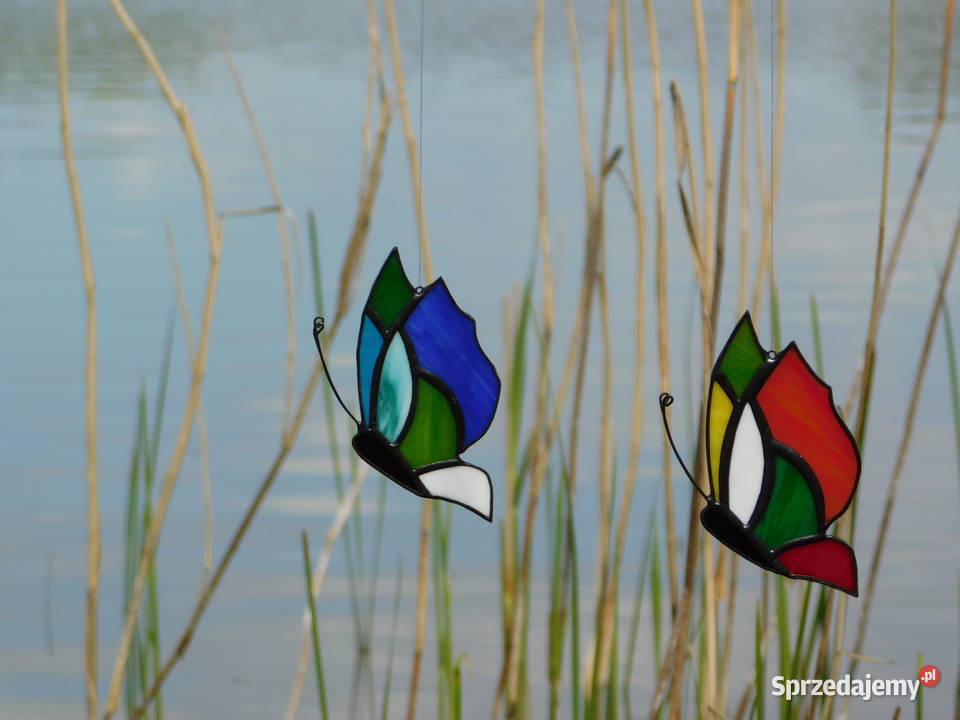 Rękodzieło witraże motylki witrażowe zestaw Bugaj