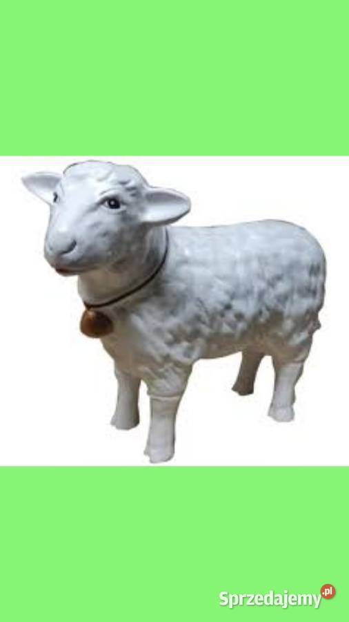 Baran figurka duża Ropczyce sprzedam