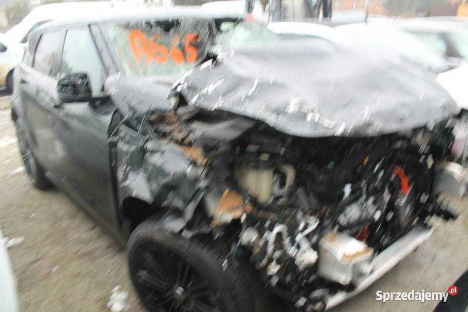 Land Rover Range Rover Evoque II 2019 Rok produkcji 2024 wielkopolskie Ostrów Wielkopolski