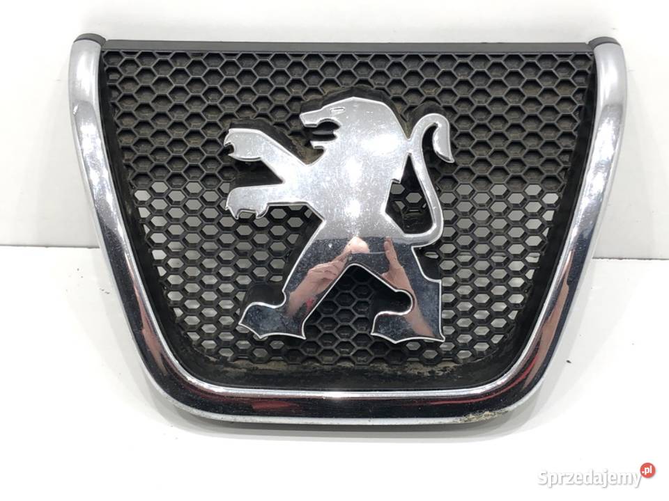 ATRAPA GRILL PEUGEOT 807 1490016077 Van minibus Atrapy podkarpackie