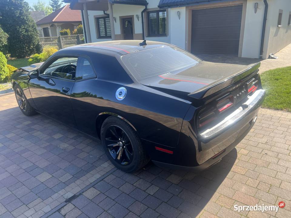 Dodge challenger Poddębice