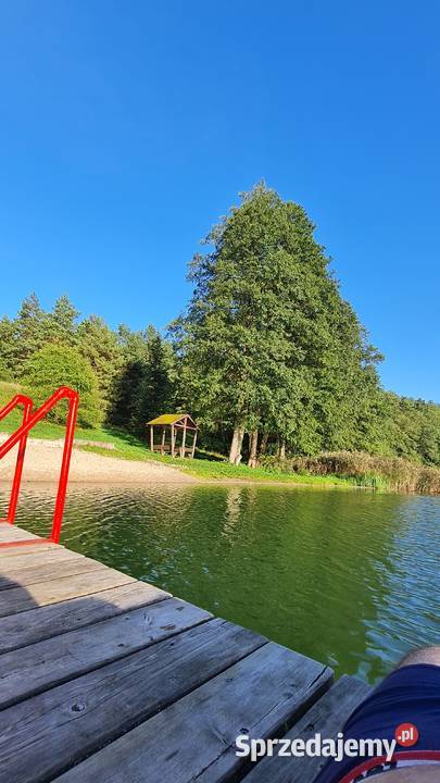 Działka 368 ara Mazury Grabowo 11700 Mrągowo