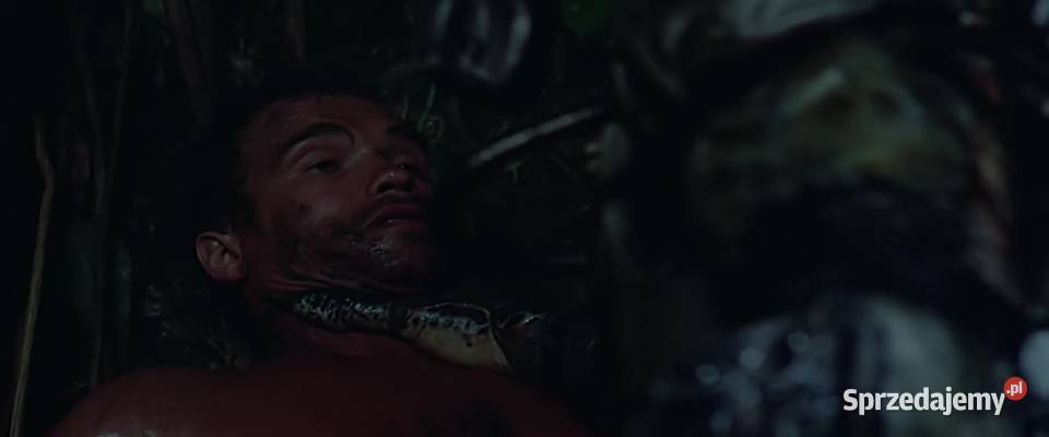 PREDATOR ARNOLD SCHWARZENEGGER lektor Kalisz sprzedam