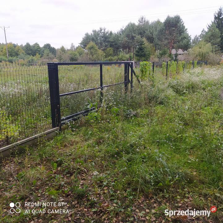 Usługi ogrodniczo porządkowe Radom