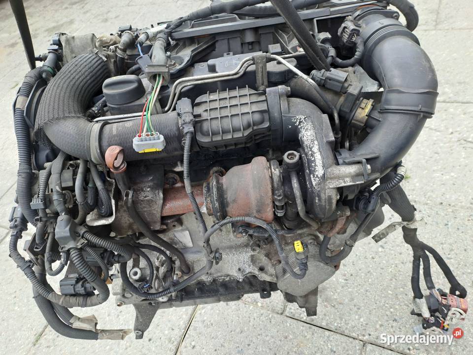 Citroen Peugeot 14 HDi 68 silnik kompletny kod Jastrzębie-Zdrój