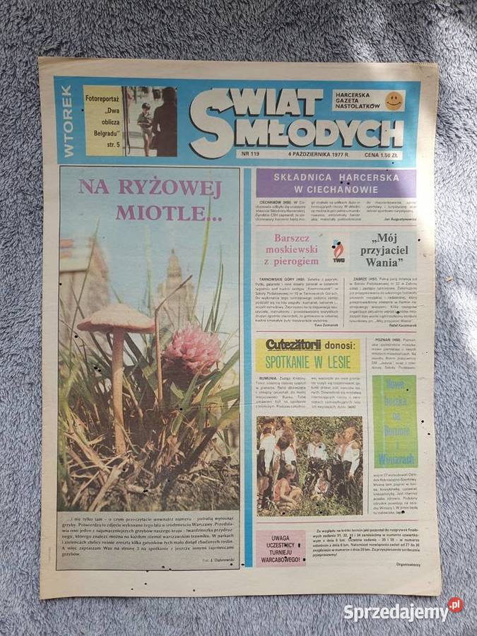 Świat Młodych numer 1191977 komiks Henryka pomorskie Gdynia