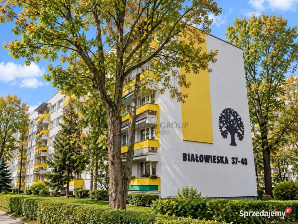 3 pokoje 5410 m wysoki parter balkon piwnica 14499zł/m2