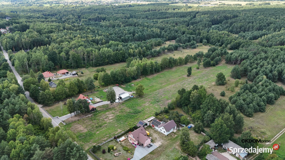 Działka na sprzedaż 910 m2 Gałęzice gm Piekoszów