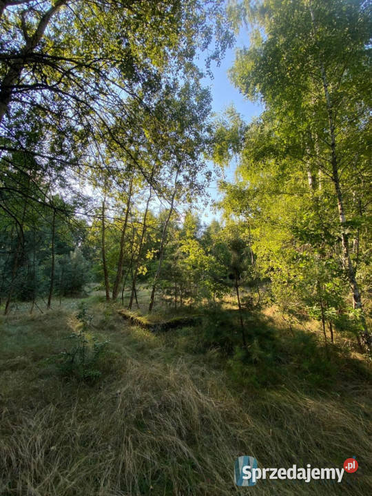 Grunt Niemianowice 1800m2