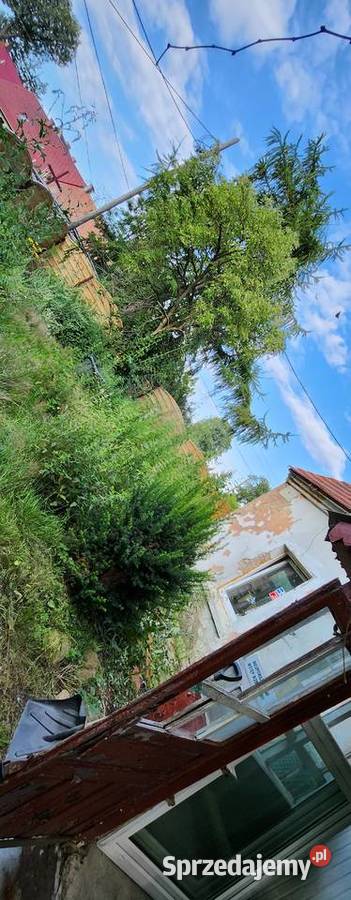 Dom z potencjałem do remontu wolnostojący Nowa Jabłona sprzedam