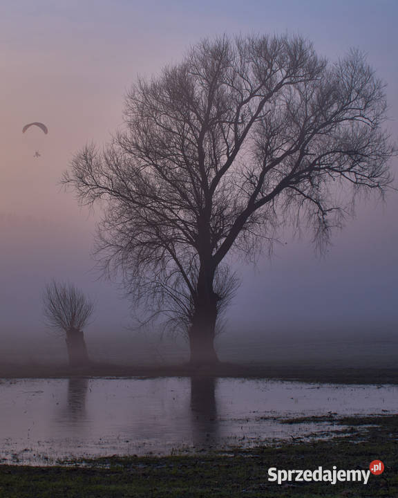 Obiektyw Tamron SP AF 70200 f28 Di LDIF Macro Ciele