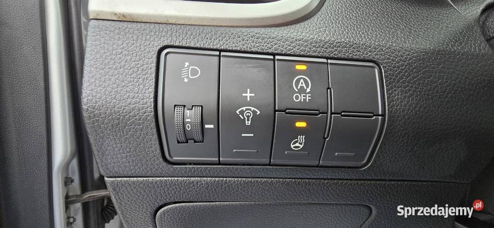 Grzana Kierownica Fotele Klimatyzacja Czujniki kurtyny powietrzne Andrespol