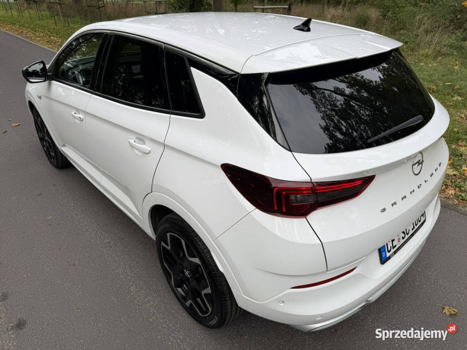 Opel Grandland 15 CDTI 130 Full Led Navi Automat ABS Józefkowo