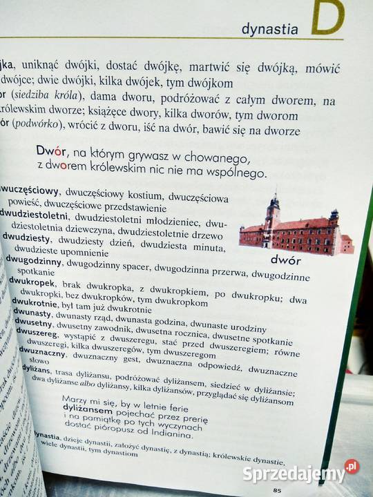 Szkolny słownik ortograficzny z wierszykami Warszawa