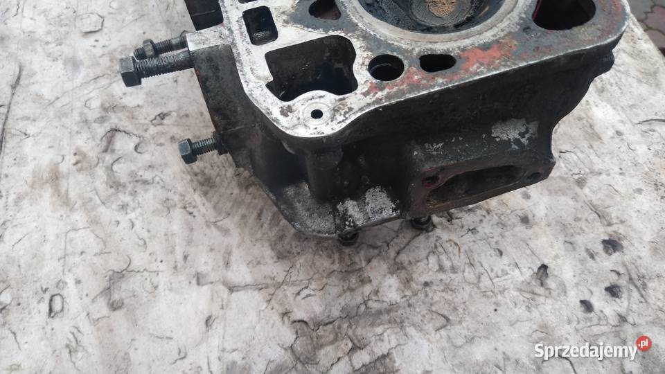 Polonez Borewicz glowica 1500