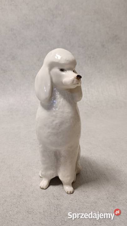 Lomonosov Łomonosow USSR Pies Pudel ZSRR Porcelana i szkło