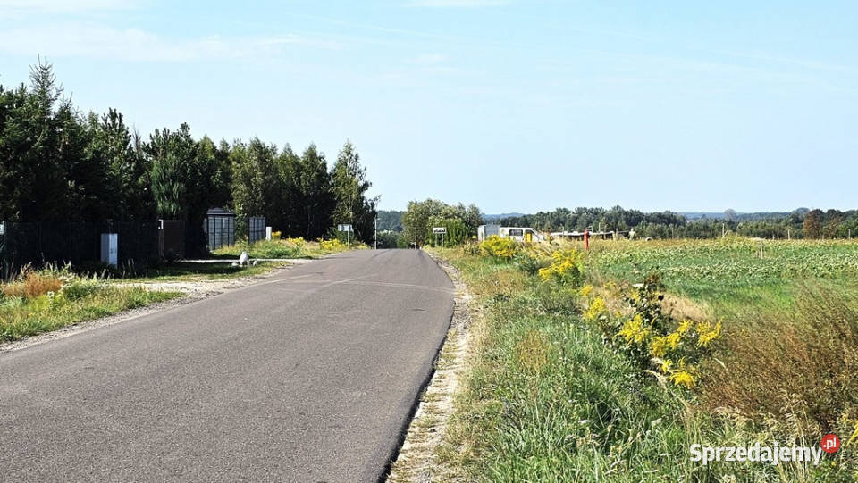 Działka budowlana zalewu w Pałecznicy Pałecznica