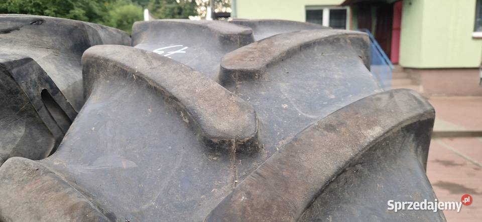 184r34 46085r34 18434 Ceat Pirelli 60 bieżnik warmińsko-mazurskie