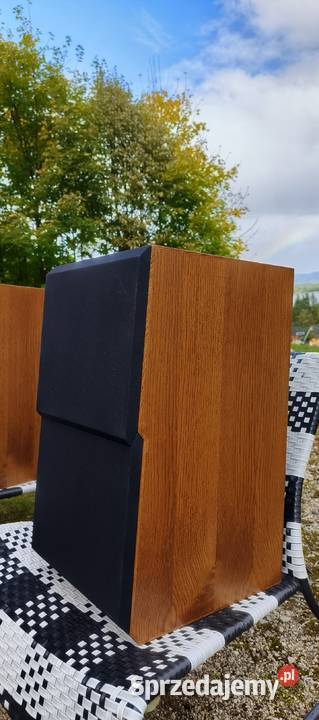 Dynaudio MSP 200 Kolumny muzyczne hifi