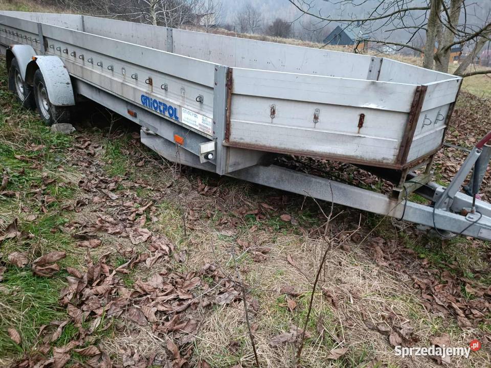 1901 Boeckmann dłużyca przyczepa xxl 2t dmc towarowe Do samochodów osobowych Do samochodów osobowych Żywiec