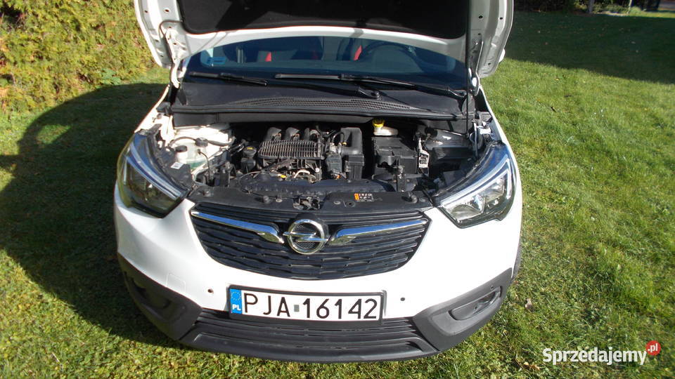 Opel Crossland X Benzyna LPG 82 2017 47 Crossland X wielkopolskie Dachowa
