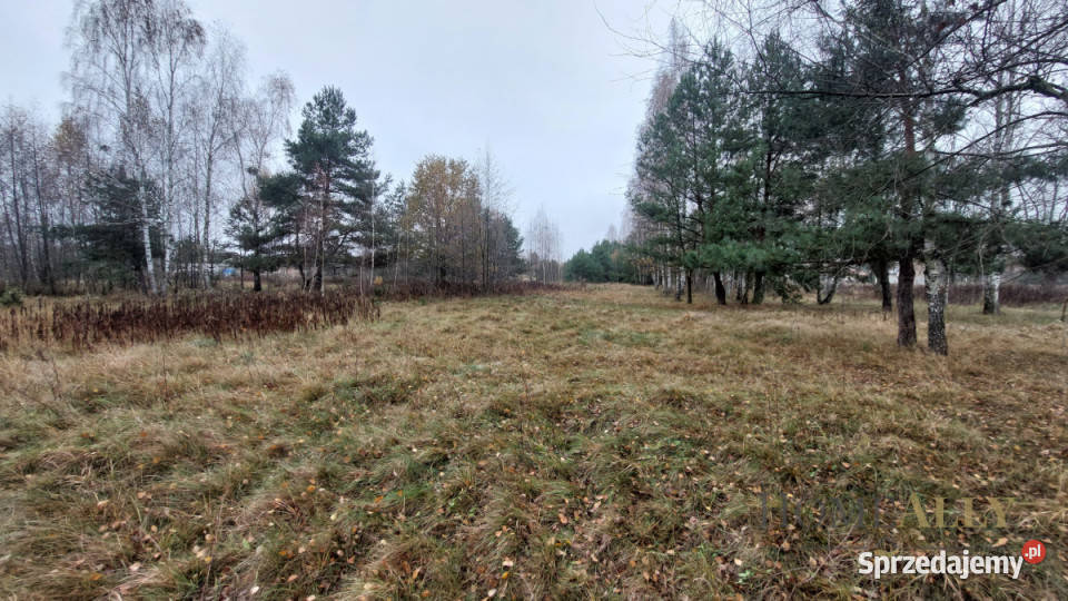 Grunt 11500m2 Leoncin mazowieckie sprzedam
