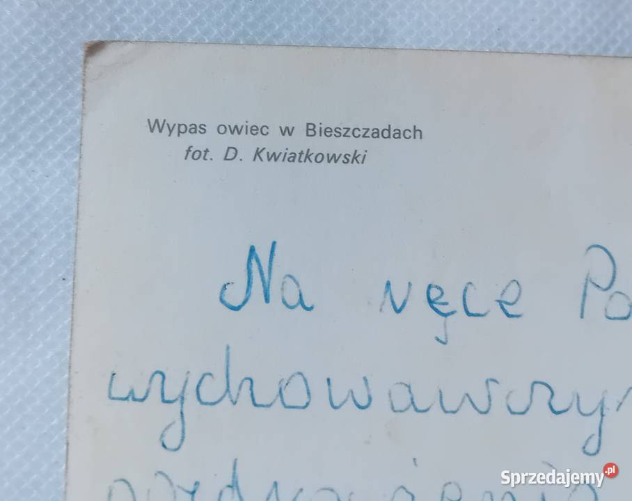 Pocztówka Wypas owiec w Bieszczadach KAW 1974 r Pocztówki i karty telefoniczne Koźminek