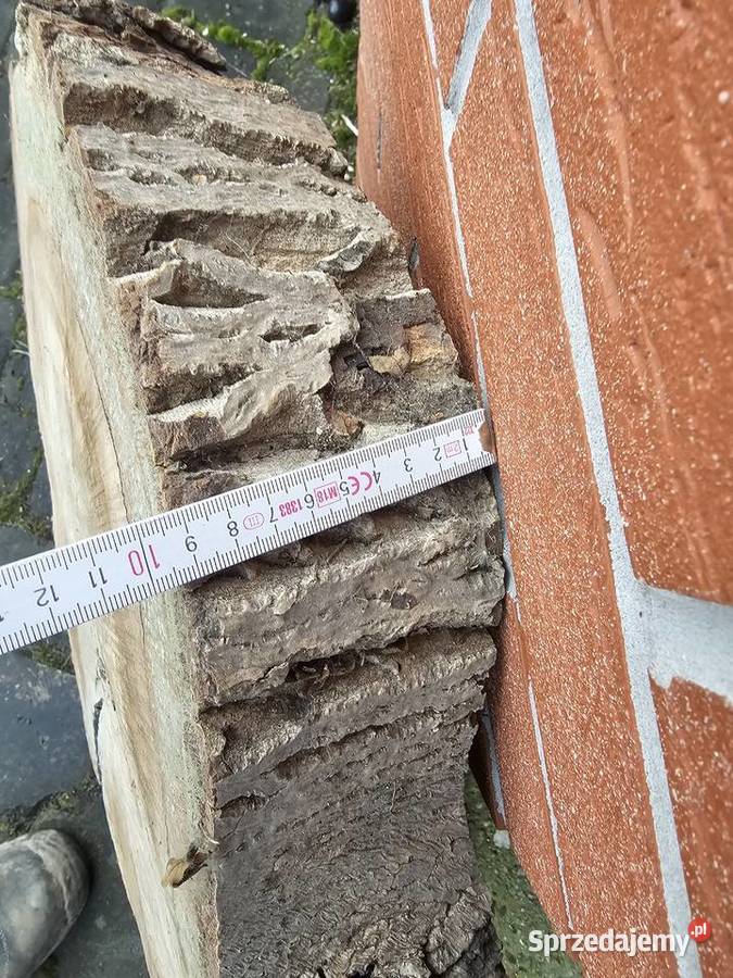 Plaster drewna orzech Kędzierzyn-Koźle