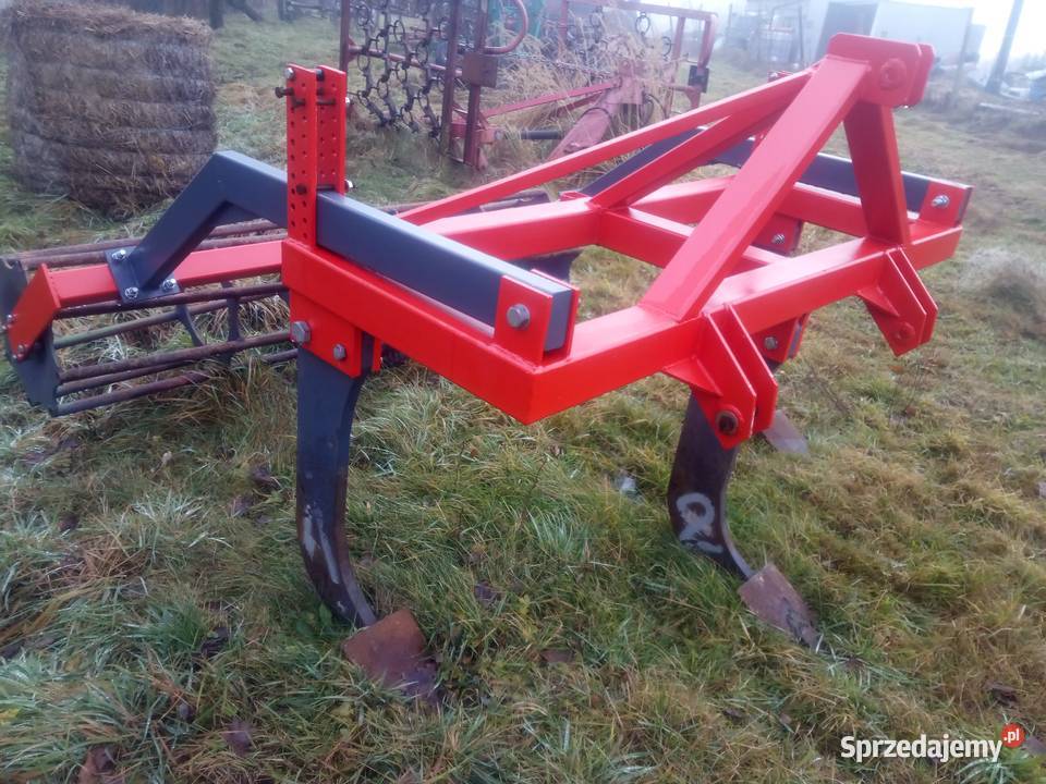 Głębosz 3 łapy bezorkowiec gruber Głębosze Chocznia