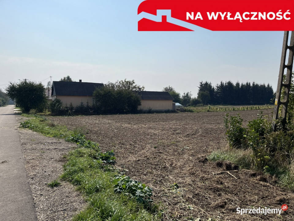 Działka rolnobudowlana 031 ha w Gołębiu kPuław asfalt Gołąb