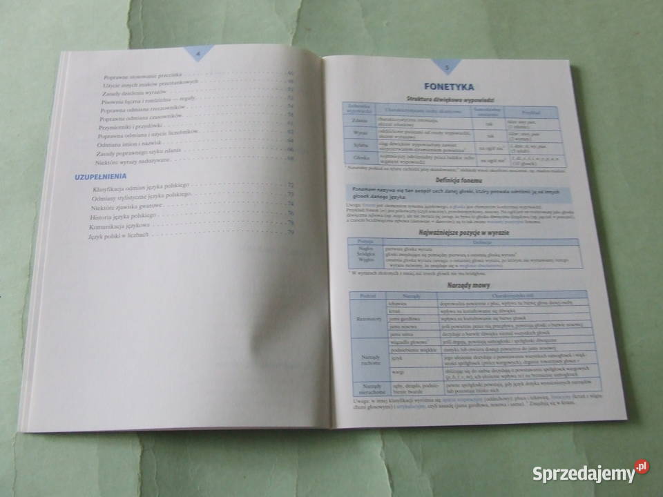 Małe tablice język polski niemiecki angielski Rok wydania 2019 Oborniki Śląskie