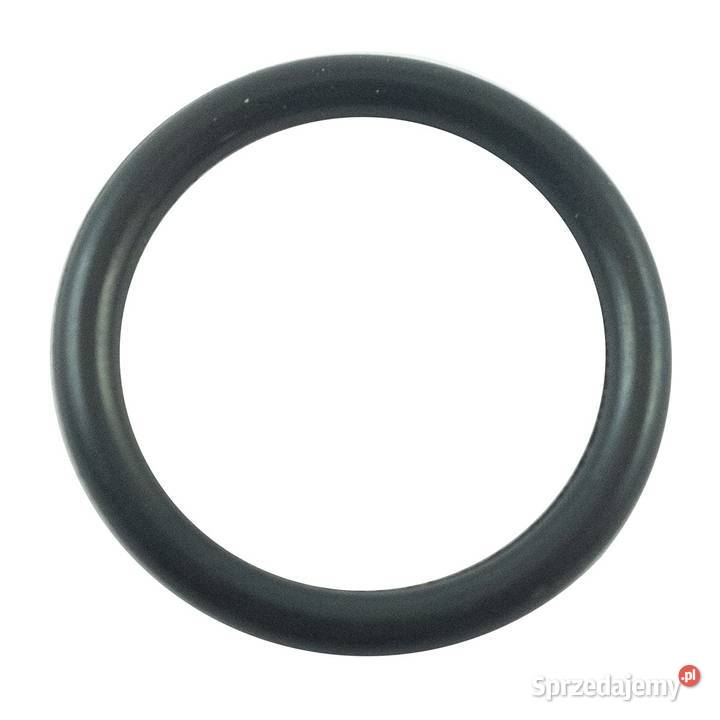 Oring 1750 x 240 mm LS XJ 25 LS MT125 LS MT335