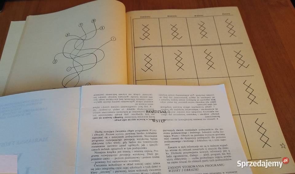 Wzory i obrazki program rozwijający percepcję pomorskie Gdańsk