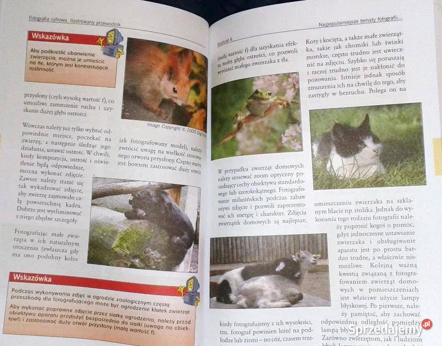 Fotografia cyfrowa Ilustrowany przewodnik Anna miękka