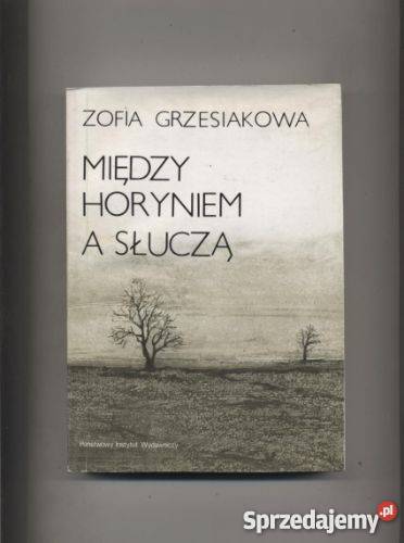 Między Horyniem a Słuczą Szczecin