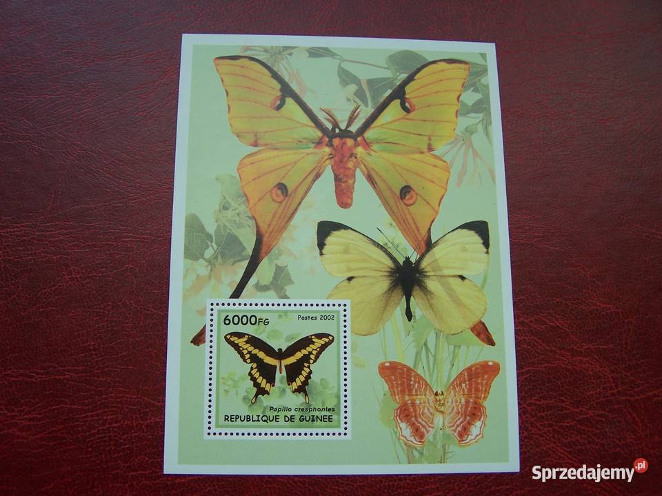 Gwinea 2002 MNH Motyle śląskie Tychy