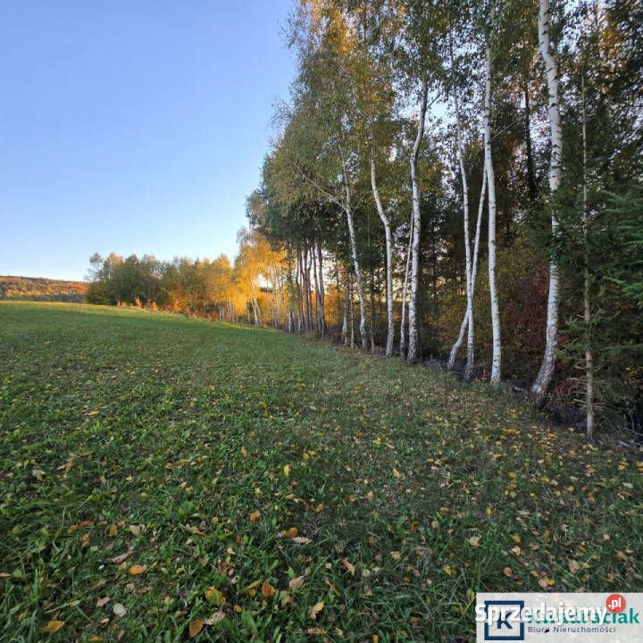 Działka 57900m2 Wolica