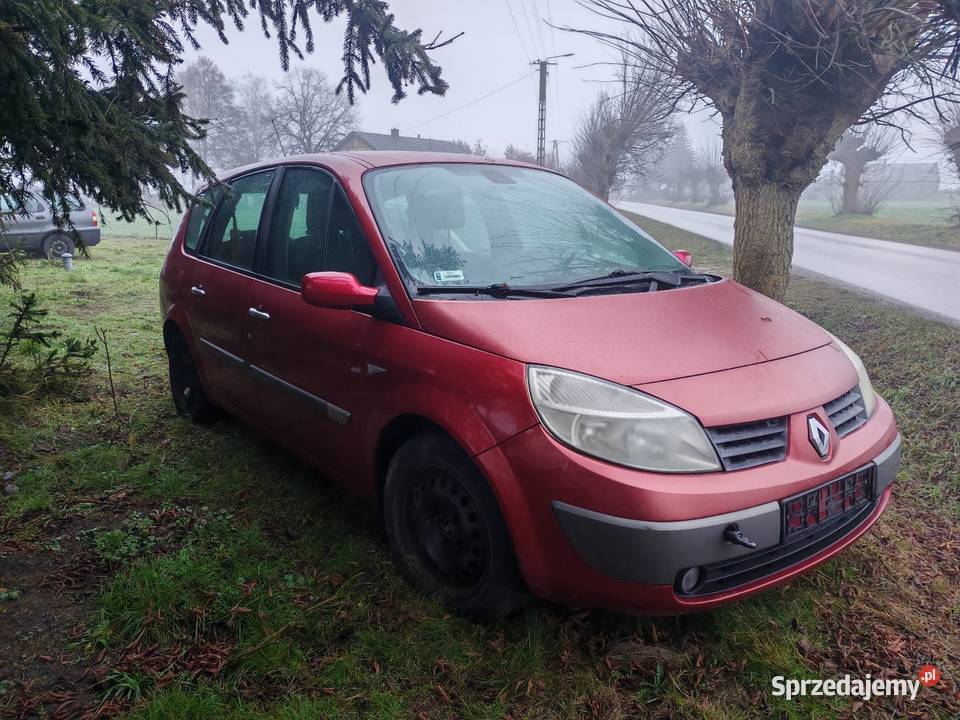 Renault Grand Scenic Kutno