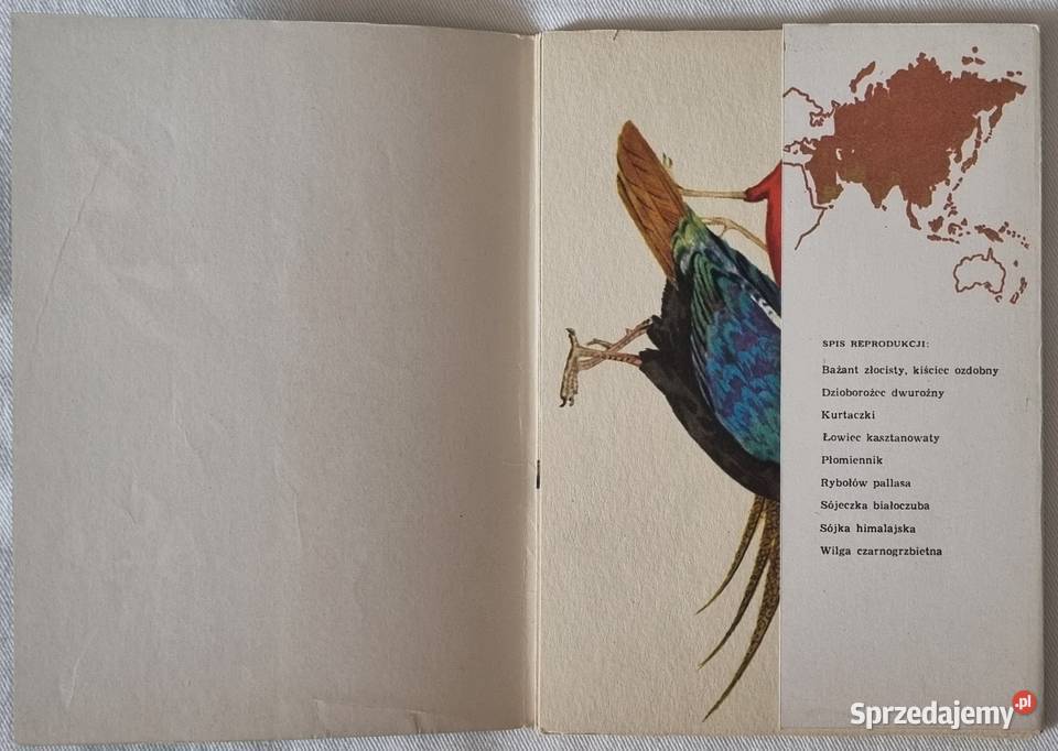 Ptaki Azji 9 projekt graficzny Alojzy Balcerzak Pocztówki i karty telefoniczne