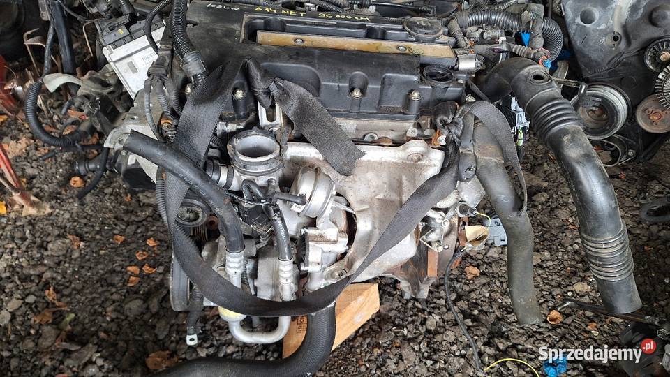 Silnik kompletny Opel A14NET Raczyn sprzedam