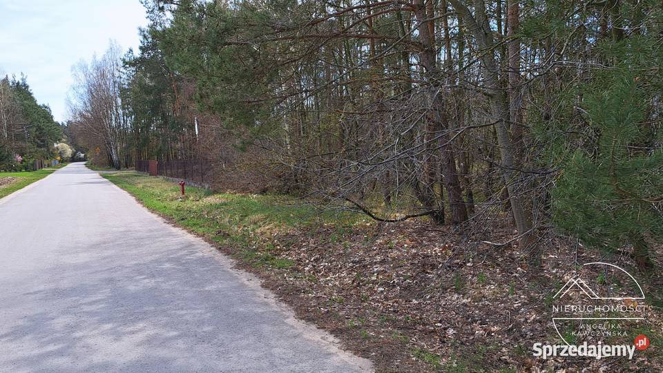 DZIAŁKA terenów zielonych 3664 m2 3664m2 Zielęcice