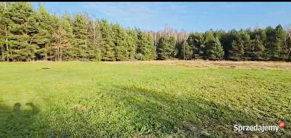 działka pod budowę domu świętokrzyskie