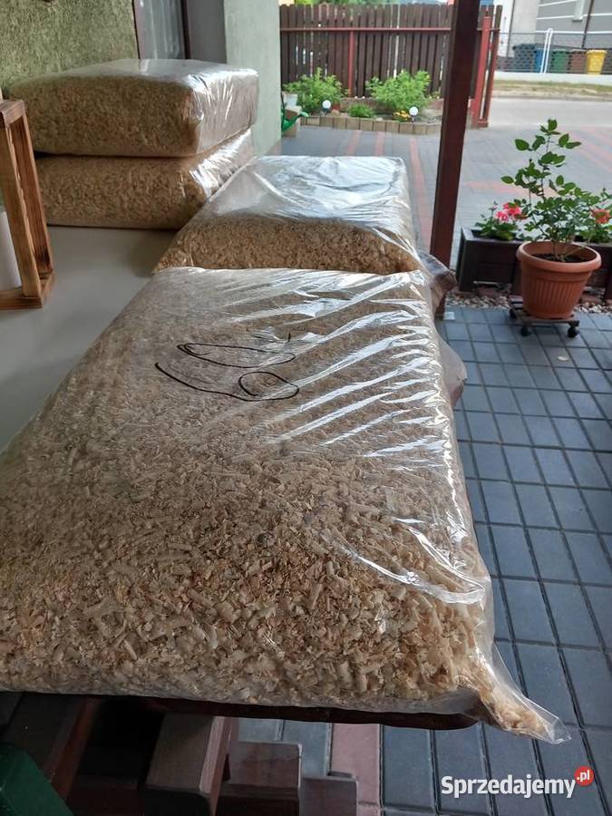 trociny chomika królika Nowe Miasto Lubawskie